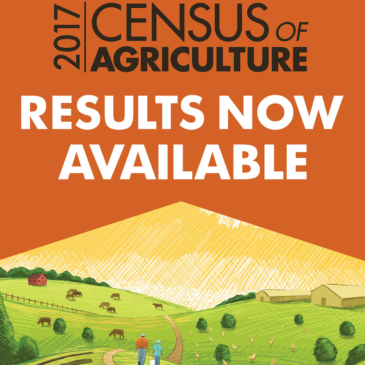 Ag Census results show size of Georgia farms shifted